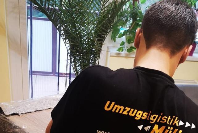 Laborumzug Seifhennersdorf stressfrei umziehen 